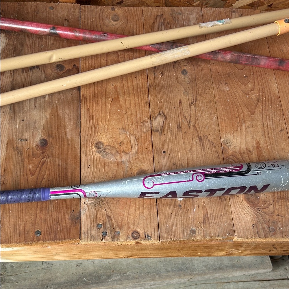 Easton Silver Bat with Purple Highlights